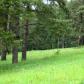 Участок Сосновый бор к/п id 328-706 фото 1 Участок Сосновый бор к/п id 328-706 фото 1