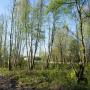 Участок, Сенькино-Секерино