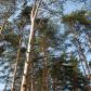 Коттеджный поселок Сосны, Калужское  шоссе фото 6